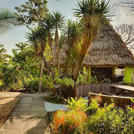 Windy Hill Resort San Ignacio Exteriör bild