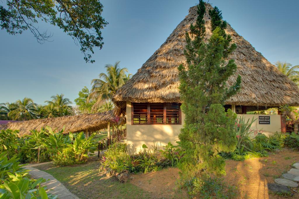 Windy Hill Resort San Ignacio Exteriör bild