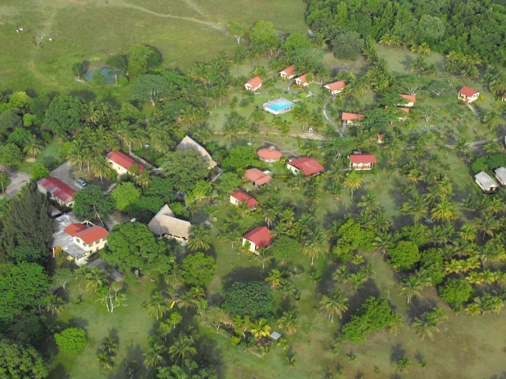 Windy Hill Resort San Ignacio Exteriör bild