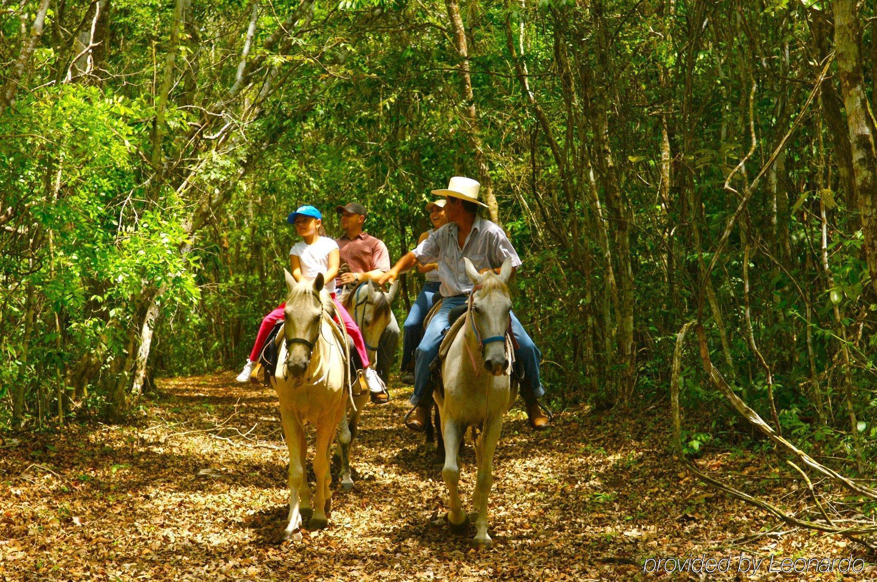 Windy Hill Resort San Ignacio Exteriör bild